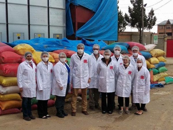 Cosecha de Royal Quinoa 2026: 22 comunidades, sostenible y 100% orgánica